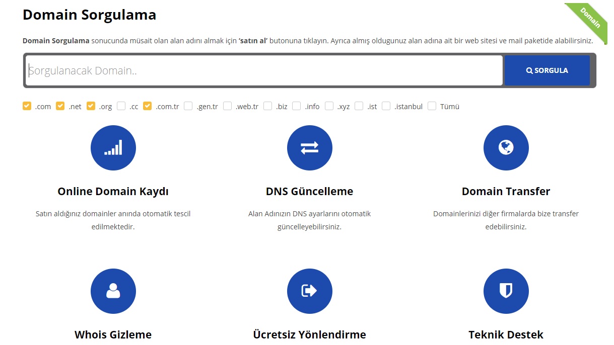 Domain Alma ve Sorgulama Nasıl Yapılır ?